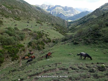 La Peral-Mocosu-Ḷḷagunas del Páramo-Las Fervienzas La Peral-Mocosu-Ḷḷagunas del Páramo-Las Fervienzas