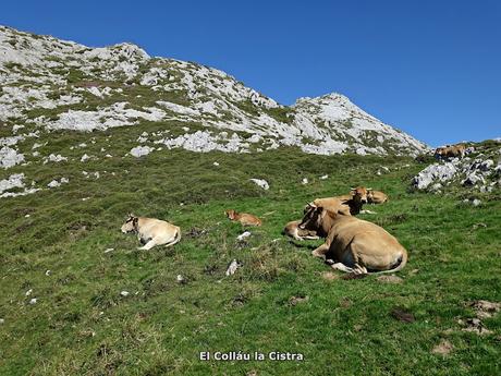 Demués-El Puertu Altu d´Onís-Beresna