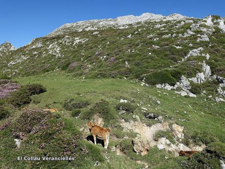 Demués-El Puertu Altu d´Onís-Beresna