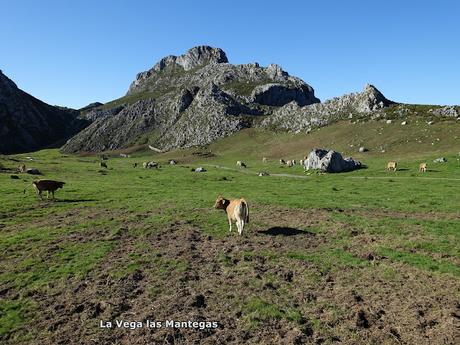 Demués-El Puertu Altu d´Onís-Beresna