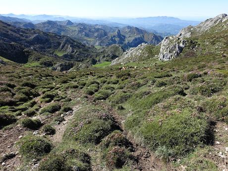 Demués-El Puertu Altu d´Onís-Beresna