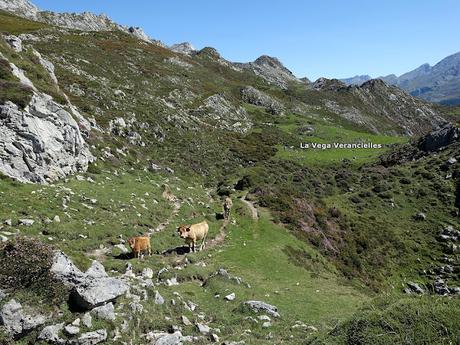 Demués-El Puertu Altu d´Onís-Beresna Demués-El Puertu Altu d´Onís-Beresna