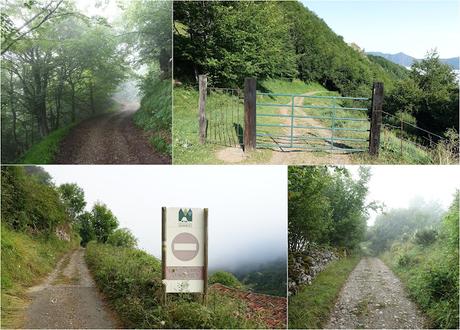 El Coto-Braña Mumián-Picu Altu-Pena la Salgada-Braña de Sousas