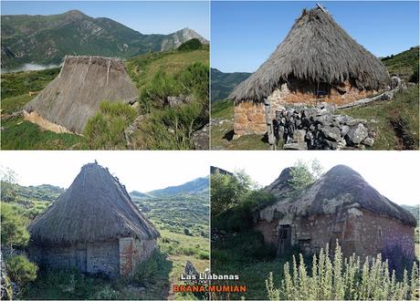 El Coto-Braña Mumián-Picu Altu-Pena la Salgada-Braña de Sousas