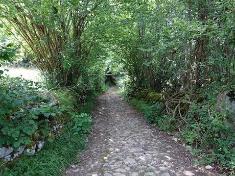El Coto-Braña Mumián-Picu Altu-Pena la Salgada-Braña de Sousas