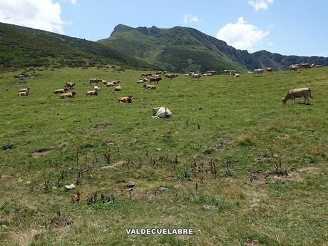 El Coto-Braña Mumián-Picu Altu-Pena la Salgada-Braña de Sousas