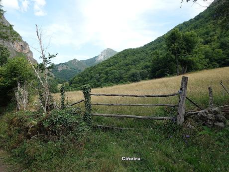 El Coto-Braña Mumián-Picu Altu-Pena la Salgada-Braña de Sousas