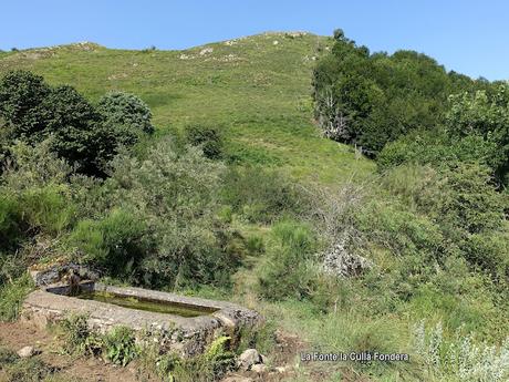 El Coto-Braña Mumián-Picu Altu-Pena la Salgada-Braña de Sousas