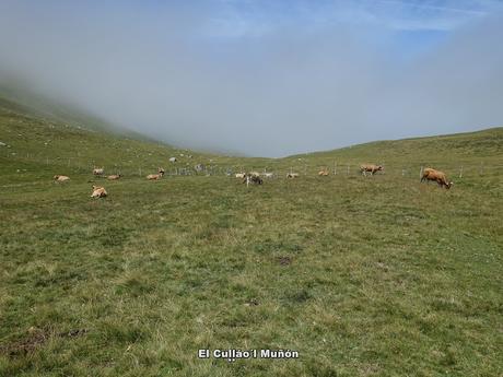 Alto Ventana-La Ferreirúa-La Piedra-Torrestío