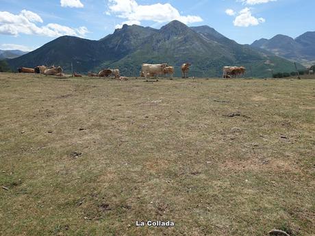 Alto Ventana-La Ferreirúa-La Piedra-Torrestío
