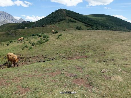 Alto Ventana-La Ferreirúa-La Piedra-Torrestío