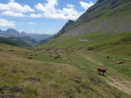 Alto Ventana-La Ferreirúa-La Piedra-Torrestío