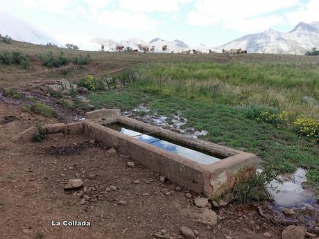 Alto Ventana-La Ferreirúa-La Piedra-Torrestío
