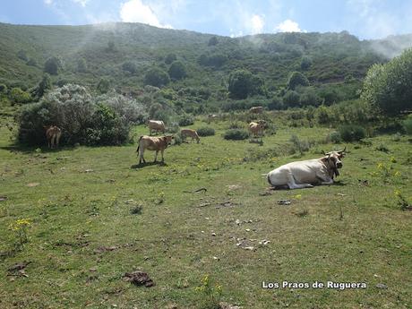 Alto Ventana-La Ferreirúa-La Piedra-Torrestío