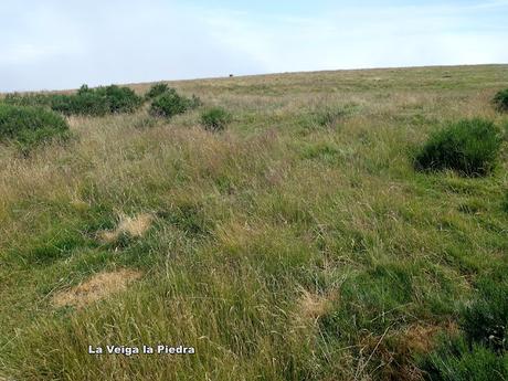 Alto Ventana-La Ferreirúa-La Piedra-Torrestío