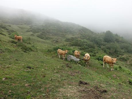 Alto Ventana-La Ferreirúa-La Piedra-Torrestío
