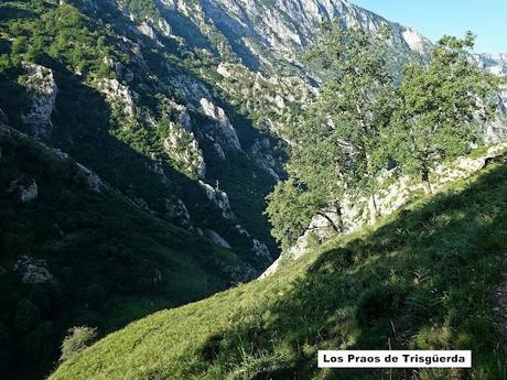 Poncebos-Tielve-Sotres