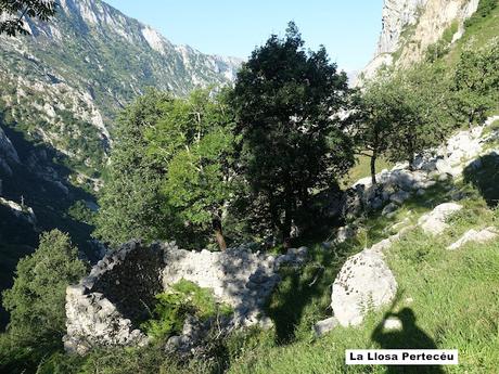 Poncebos-Tielve-Sotres