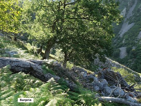 Poncebos-Tielve-Sotres