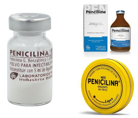 Nace la Penicilina Nace la Penicilina