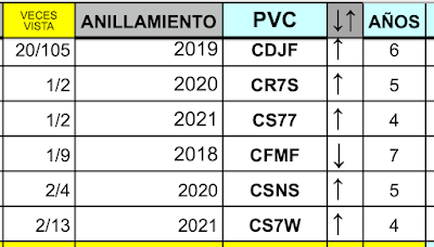Seis gaviotas de Audouin anilladas juntas en la desembocadura. Seis gaviotas de Audouin anilladas juntas en la desembocadura.