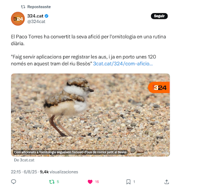 Salgo en una noticia de 3cat.cat sobre ornitología Salgo en una noticia de 3cat.cat sobre ornitología