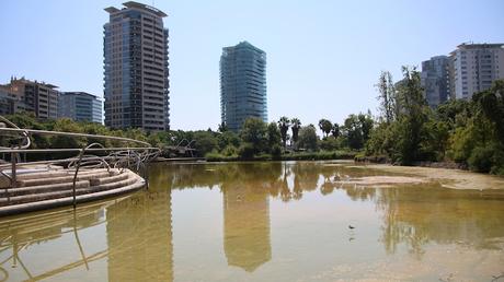 Una cigüeñuela en el Parc de Diagonal Mar Una cigüeñuela en el Parc de Diagonal Mar