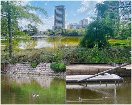 Hoy, un Tarro Blanco en el Parc Diagonal Mar: una cita histórica Hoy, un Tarro Blanco en el Parc Diagonal Mar: una cita histórica