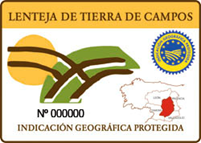 CEVICHE DE LENTEJAS Y  GAMBAS