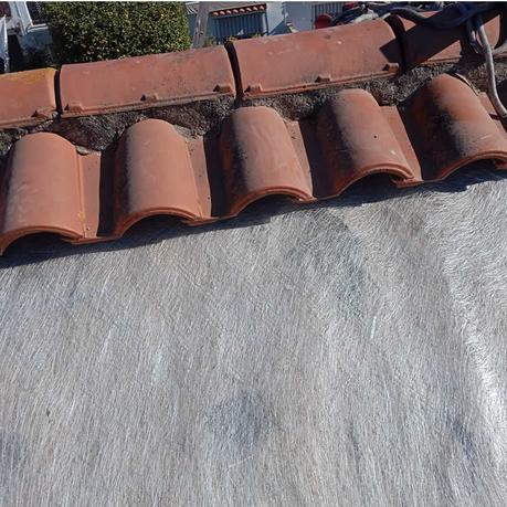 Impermeabilización de cubierta en Ginés, Sevilla Impermeabilización de cubierta en Ginés, Sevilla