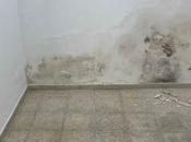 Tratamiento humedades filtración Lloret