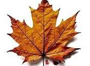 Reseña: octubre pequeñas cosas, Fernando Sánchez-Ballesteros (Independently published, mayo 2025)