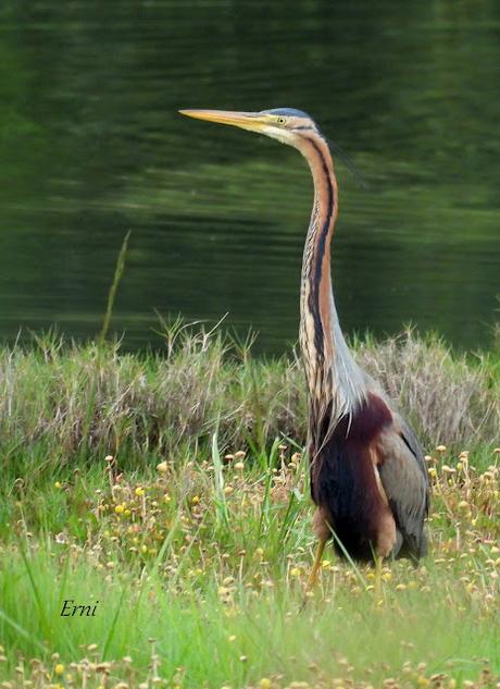 AVANZANDO EN EL  MES DE MAYO