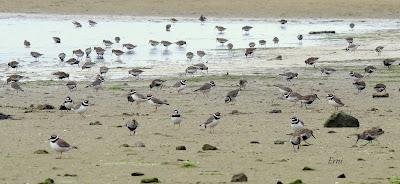 AVANZANDO EN EL  MES DE MAYO
