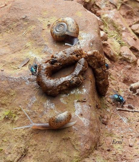AVANZANDO EN EL  MES DE MAYO