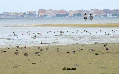 AVANZANDO EN EL  MES DE MAYO