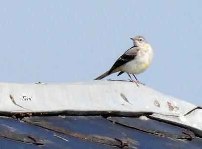 AVANZANDO EN EL  MES DE MAYO