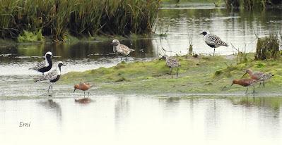 AVANZANDO EN EL  MES DE MAYO