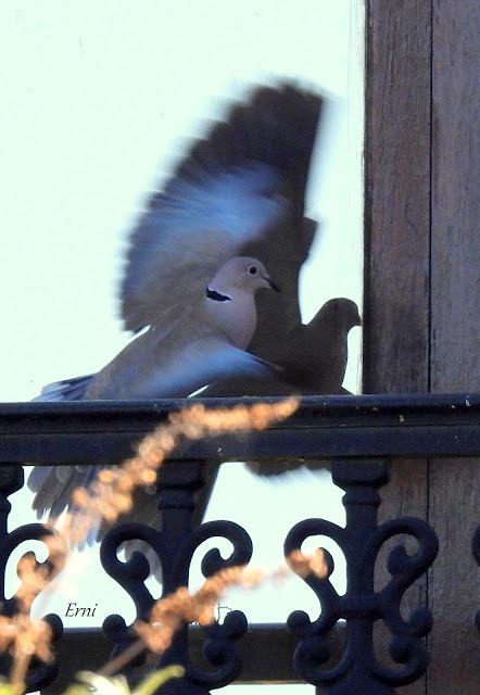 AVANZANDO EN EL  MES DE MAYO