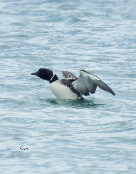 AVANZANDO EN EL  MES DE MAYO
