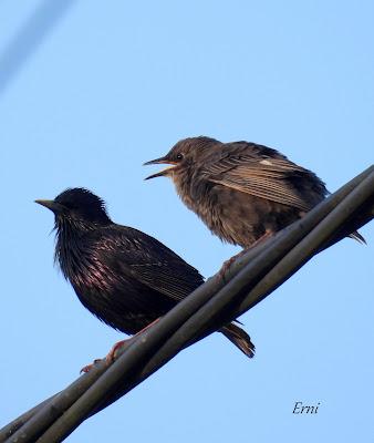 AVANZANDO EN EL  MES DE MAYO