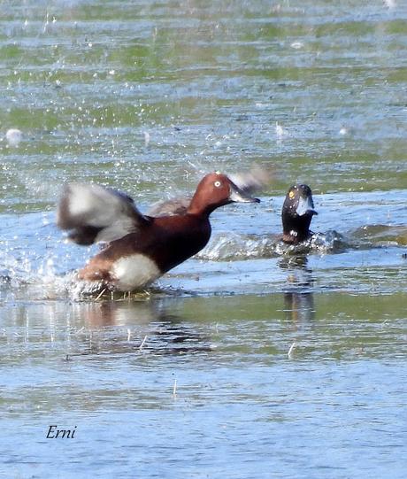 AVANZANDO EN EL  MES DE MAYO