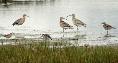 AVANZANDO EN EL  MES DE MAYO