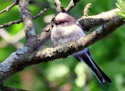 AVANZANDO EN EL  MES DE MAYO