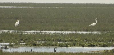 AVANZANDO EN EL  MES DE MAYO