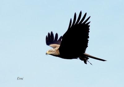 AVANZANDO EN EL  MES DE MAYO