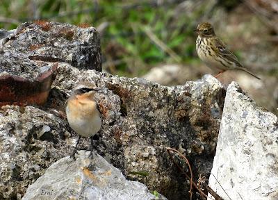 15º ANIVERSARIO DEL BLOG