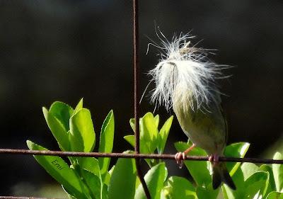 15º ANIVERSARIO DEL BLOG