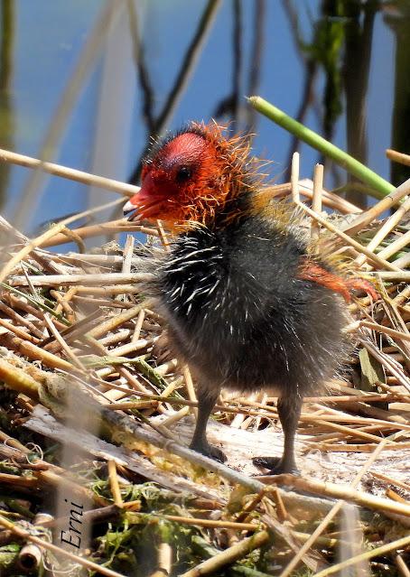 15º ANIVERSARIO DEL BLOG