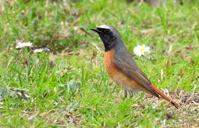 15º ANIVERSARIO DEL BLOG